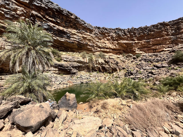 Mauritanie — Les Voix du Désert
